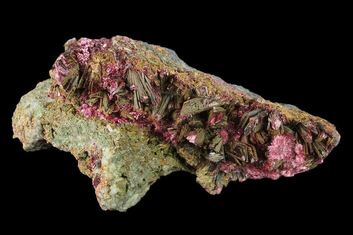 Magenta Erythrite Crystal Cluster - Morocco #137014